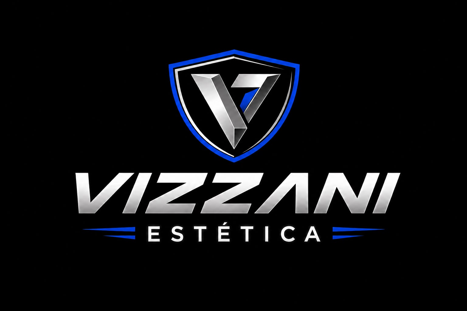 Logo Vizzani